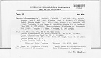 Nyssopsora echinata image